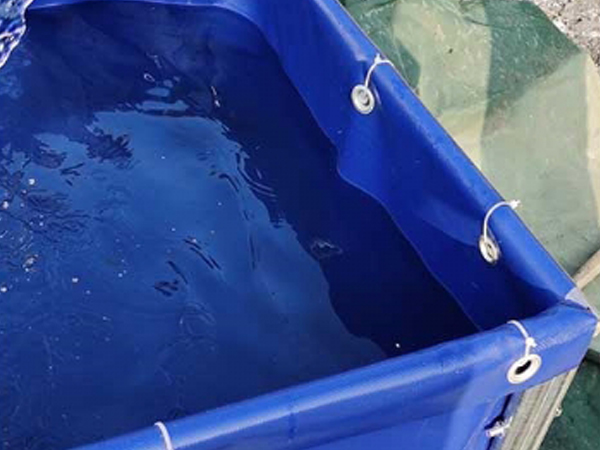 支架魚池/支架水池